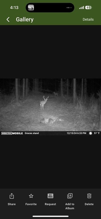 Picture 13