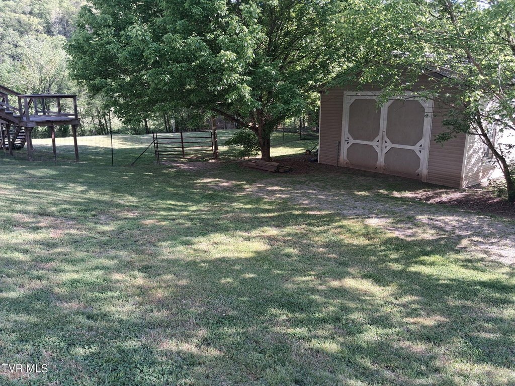 Picture 61