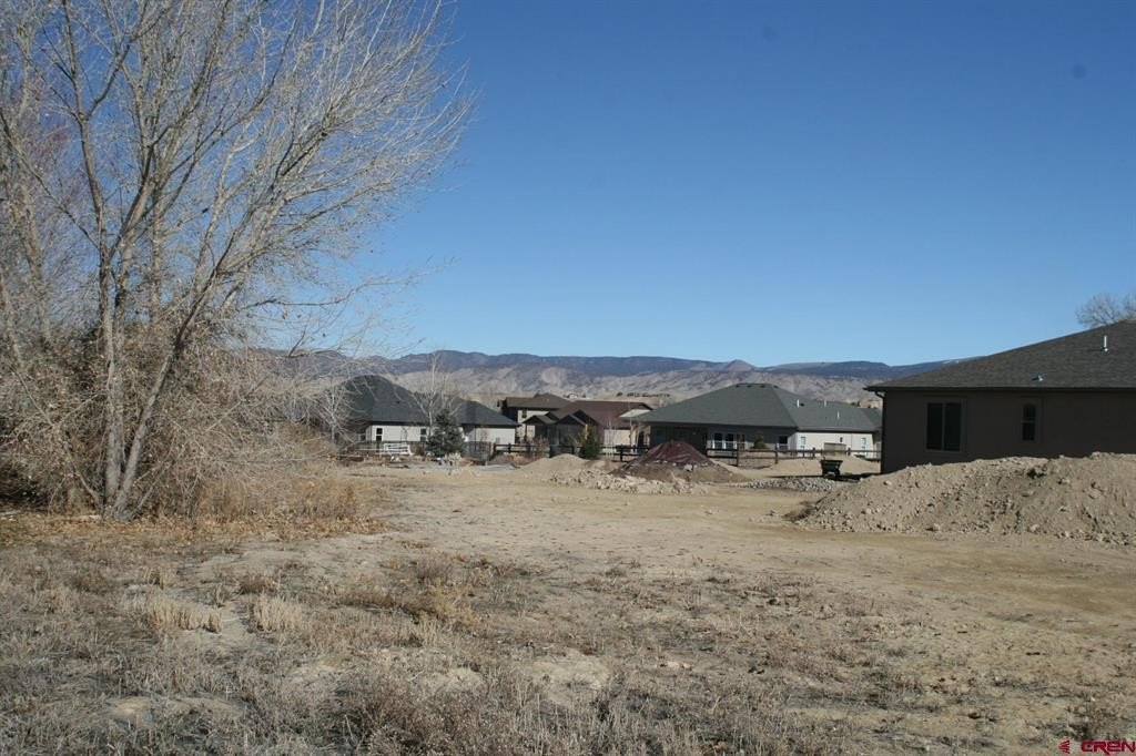 Picture 6