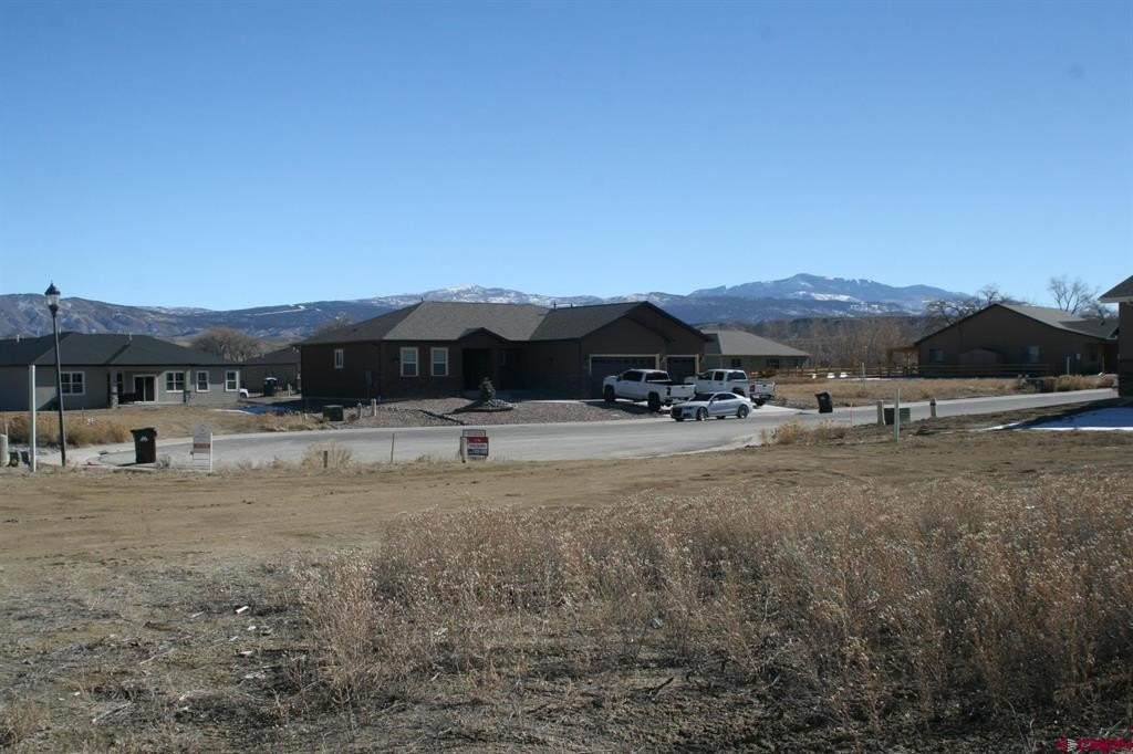 Picture 12