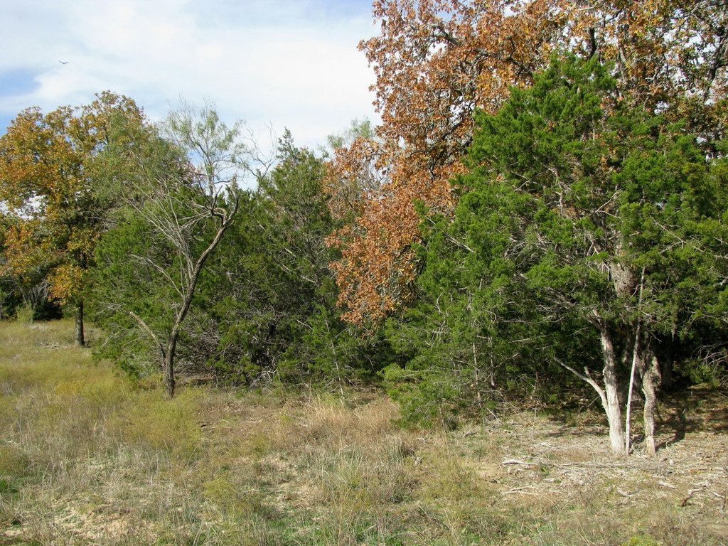 Picture 2