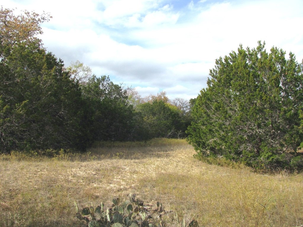 Picture 20