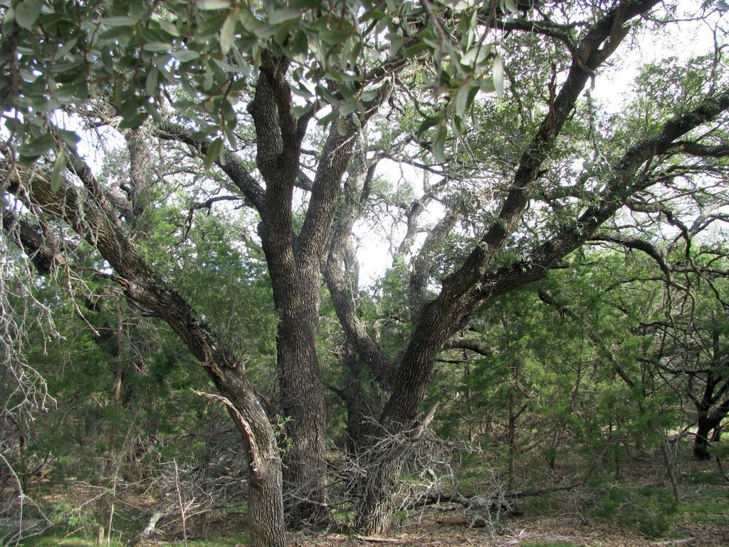 Picture 11