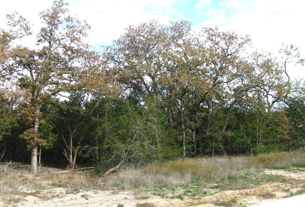 Picture 22