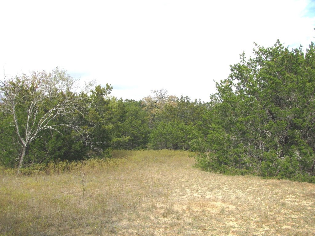 Picture 21