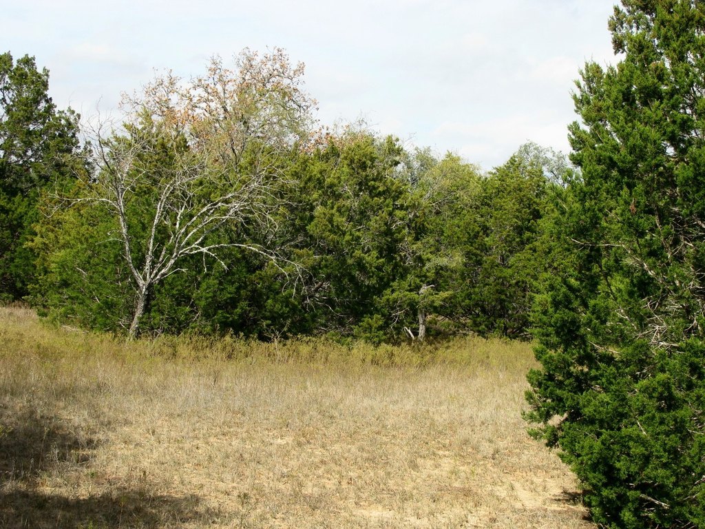 Picture 4