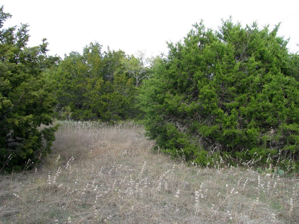 Picture 10