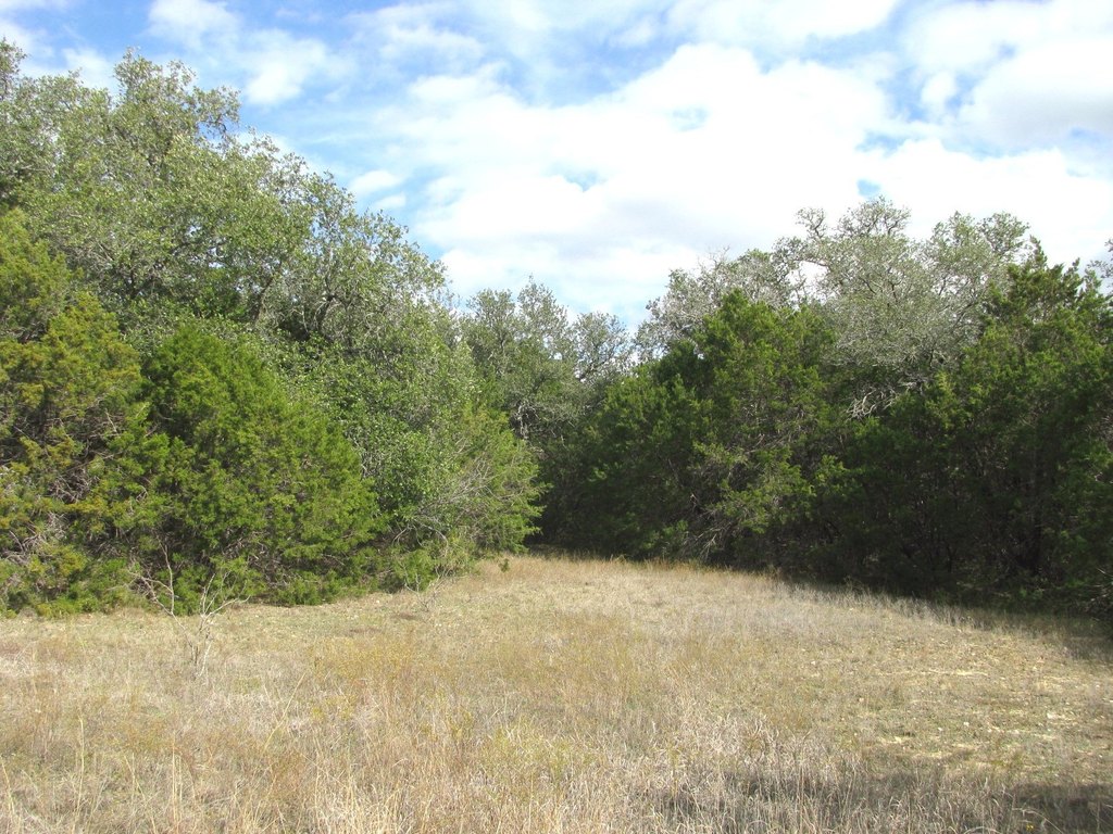 Picture 16