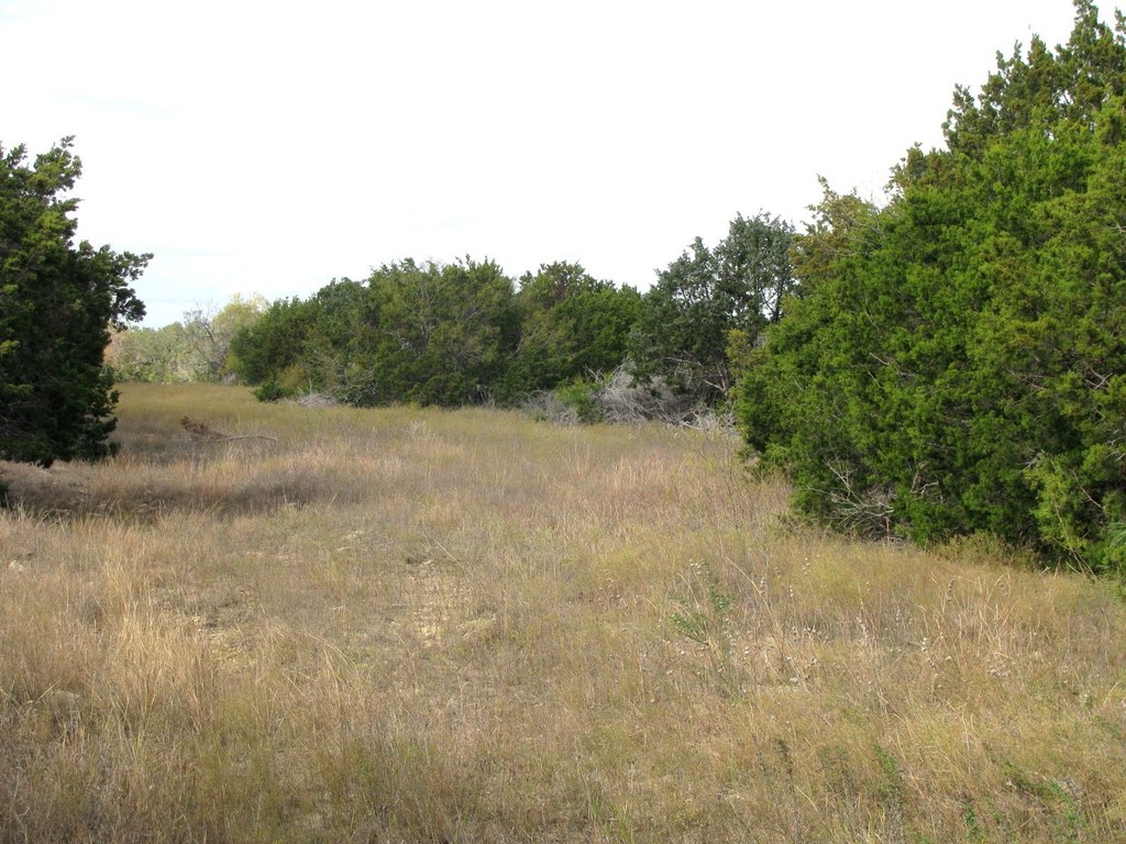 Picture 7