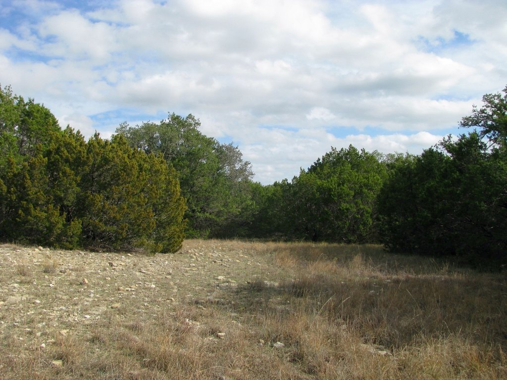 Picture 12