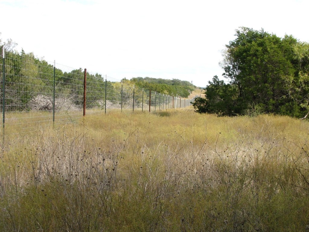 Picture 9