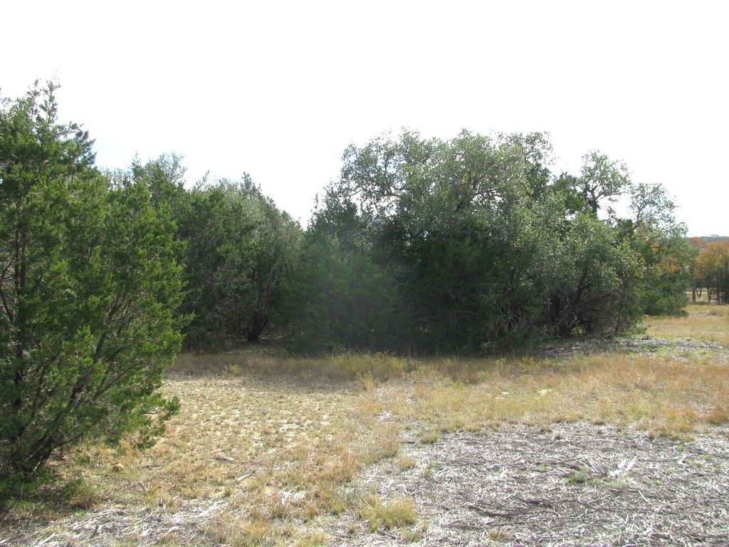Picture 13