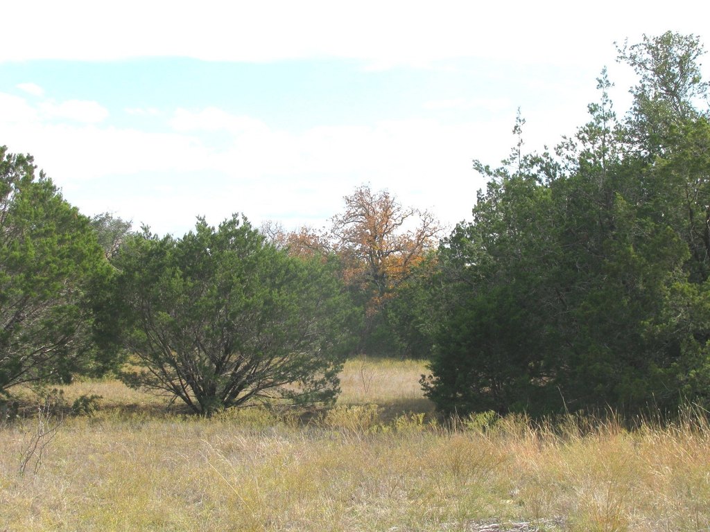 Picture 15