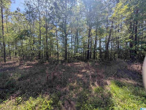 Residential Lot in Green Acres