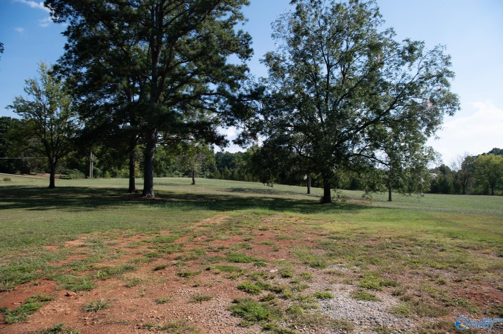 Picture 18