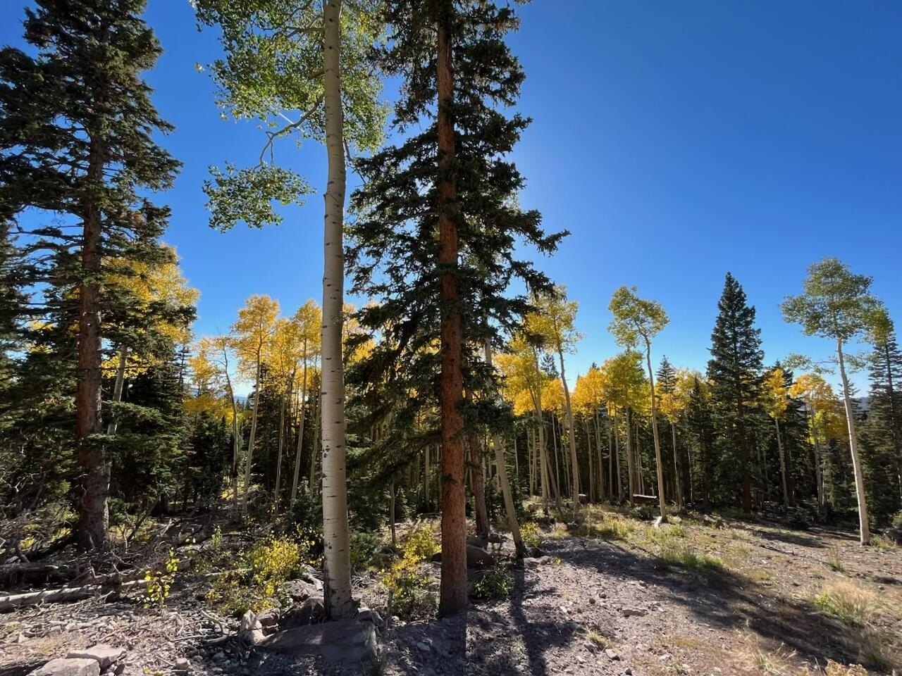 Eagle Point Resort Land