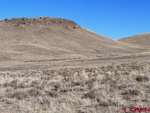 Picture 24