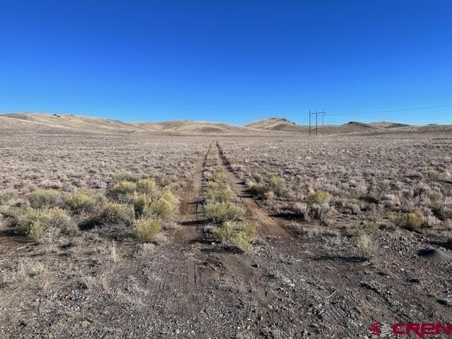 Picture 35