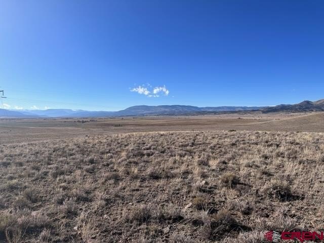 Picture 28