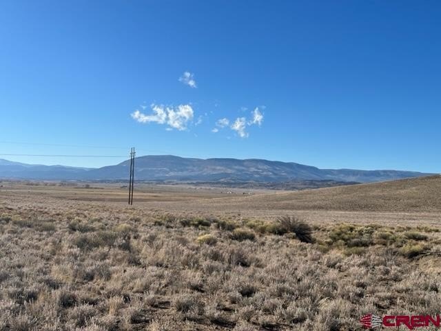 Picture 19