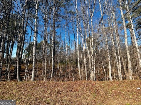 LAND - Villa Rica, GA