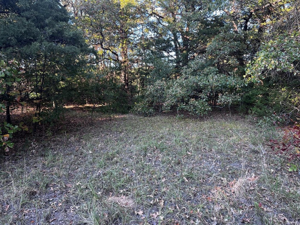 Picture 17