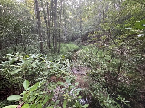 Unimproved Wooded Lot in Lancaster
