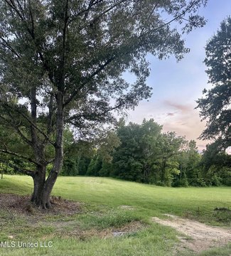 75 Acres in Flora, MS