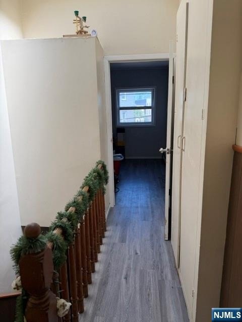 Picture 31