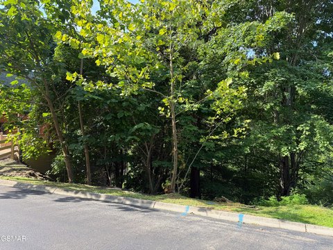 Land, Sevierville, TN