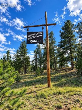 Land, Florissant, CO
