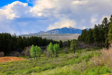 Mountain View Homesite in Gated Ranch
