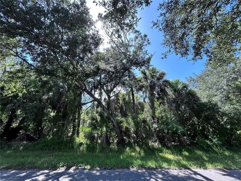 Land, PORT CHARLOTTE, FL