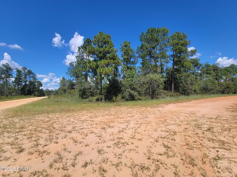 Lake-Access Waterfront Land Parcel