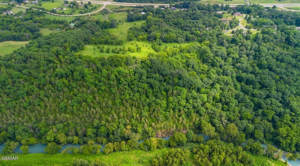 Picture 52