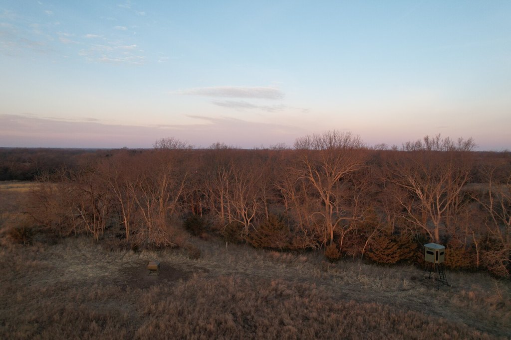 Picture 41