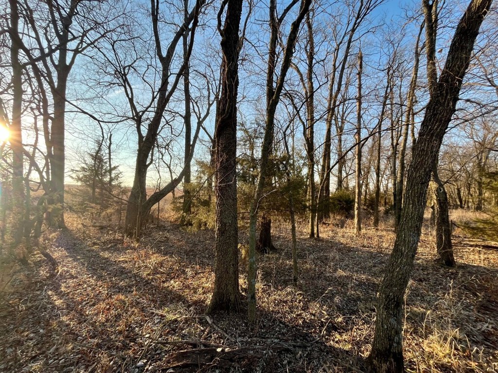 Picture 30