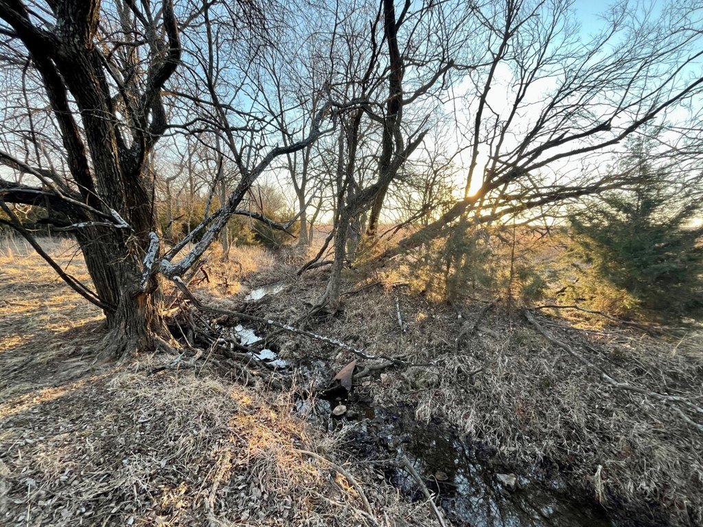 Picture 22