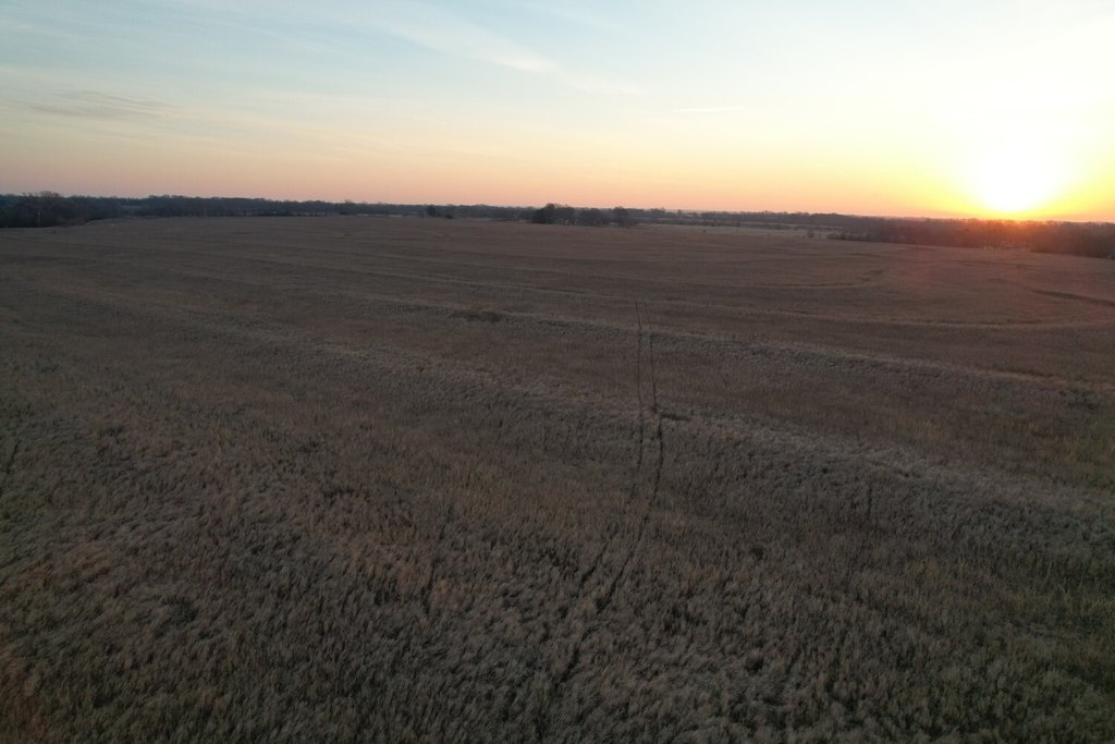 Picture 47