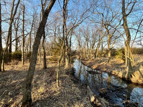 Timber-Creek Hunting Tract