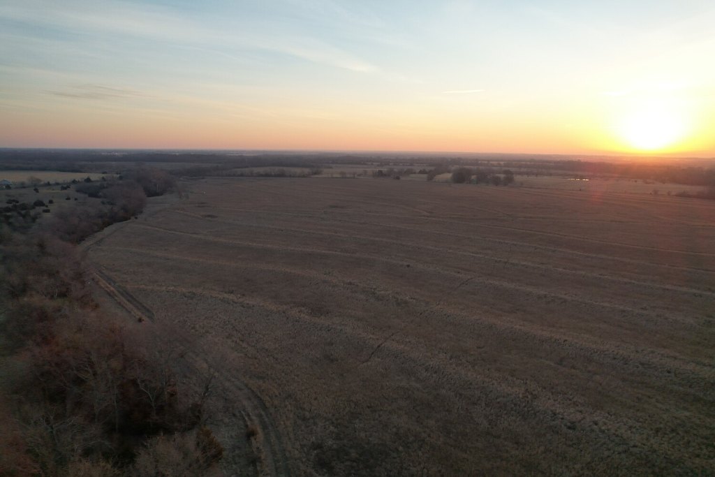Picture 43