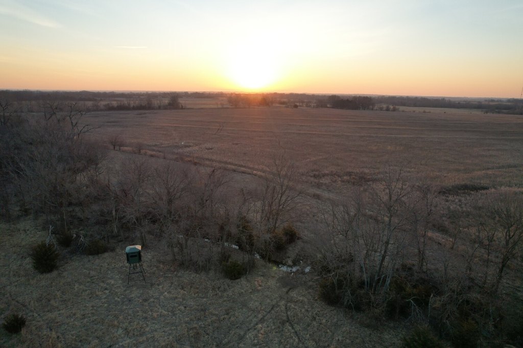 Picture 49