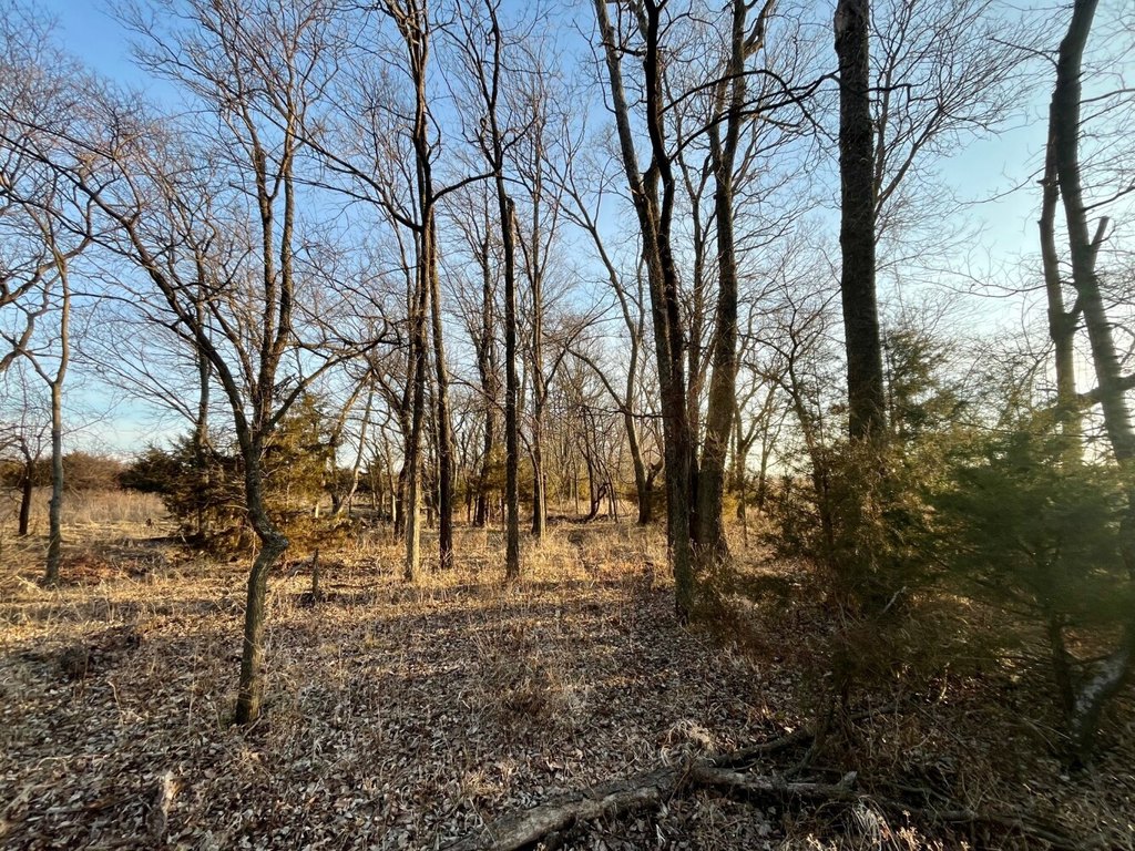 Picture 29