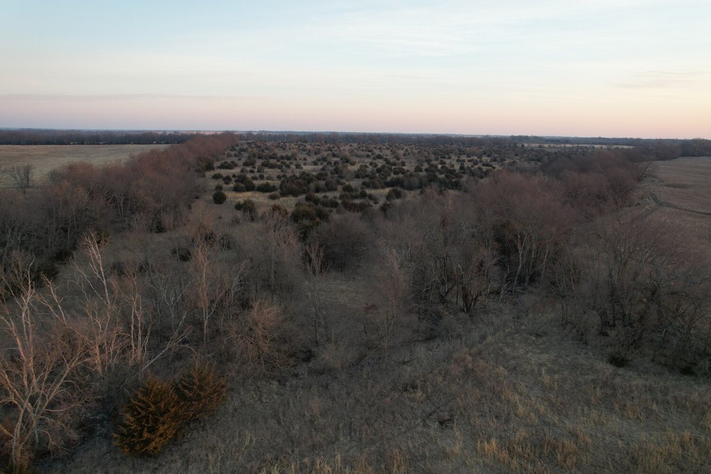 Picture 39