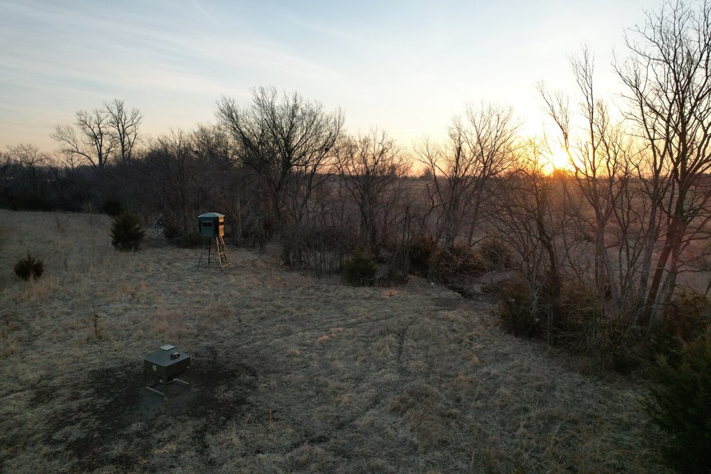 Picture 9