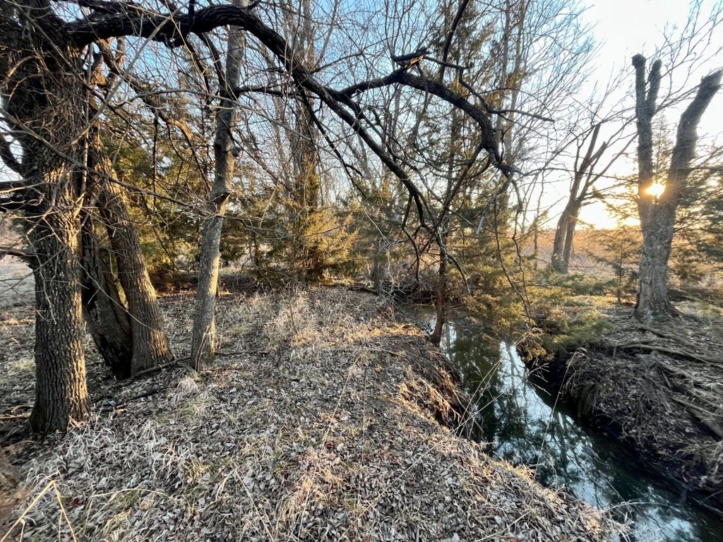 Picture 23