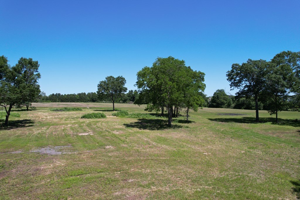 Picture 16
