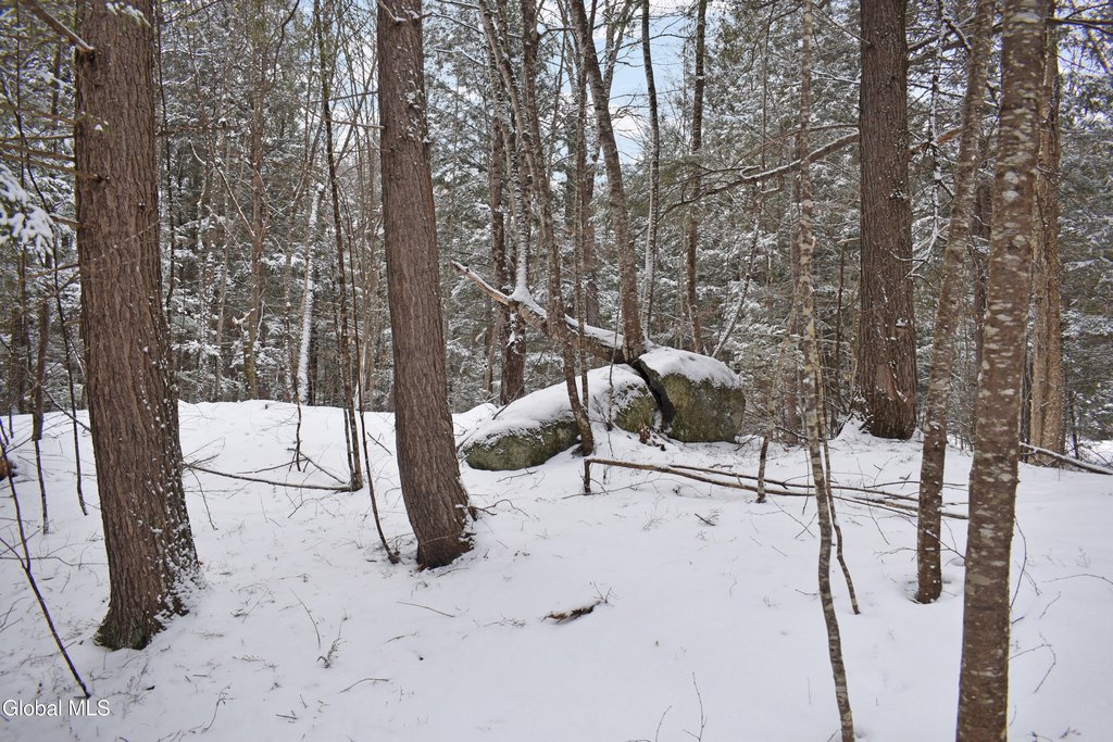 Picture 16