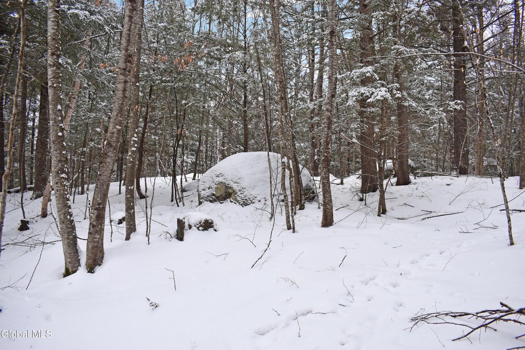 Picture 15