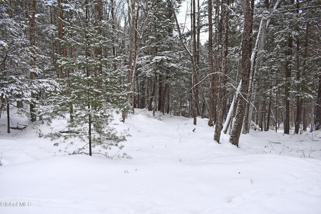 Picture 4